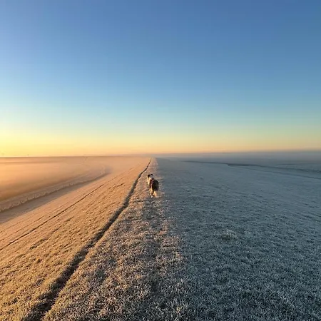Frieda Lägenhet *